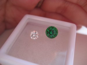 IMG_1413.JPG