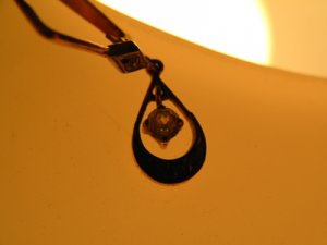 IMG_9329.jpg