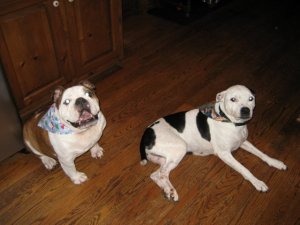 IMG_1627.JPG IMG_1627.JPG