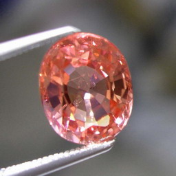 DSCN2081 B1.jpg