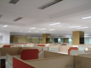 View of DGLA2.jpg