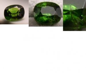 hestsdem3pic.JPG