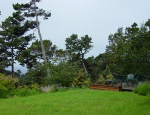 bgi outdoors b.JPG