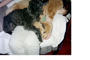 doggycuddles1.JPG