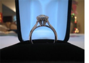 brwnidgurl511Tacori2.jpg