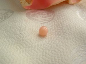 ConchPearlKojimakc1528j-450_0_large.jpg