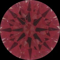 SS1318-is.jpg