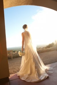 dressveilback.jpg