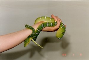 scan0001.jpg