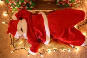christmasevan4.jpg