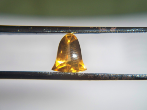 citrines and garnets 002.png