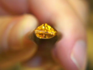 citrines and garnets 031.png