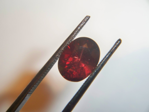 citrines and garnets 020.png