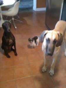 IMG_6177.jpg IMG_6177.jpg