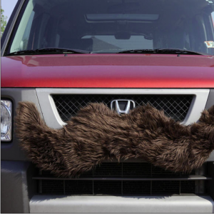 carstacheurban.png
