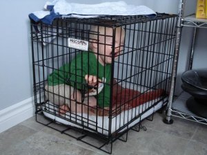 babydogcrate.jpg