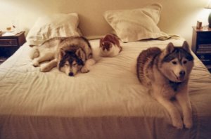 Peace on bed, 6-10.jpg