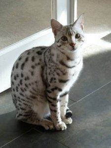 Maliik 7mos..jpg
