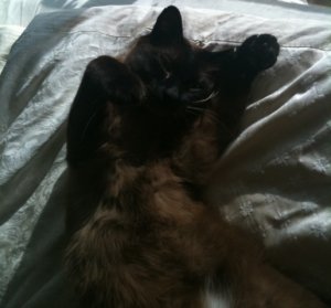 tinka1photo.JPG