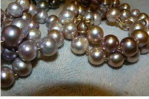 beautypearl.jpg beautypearl.jpg