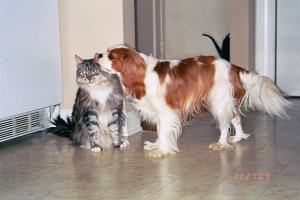 Archive 179 Abby and Charlie 4.jpg
