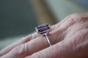 IMG_6963.JPG
