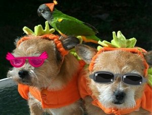 cool.jpg