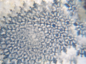 kaleidoscope.png
