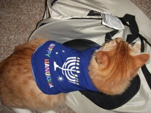 2010 024hollllllladaycutie.jpg