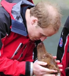 prince-william-bald.jpg