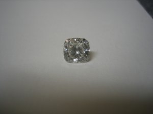 5photo2.JPG