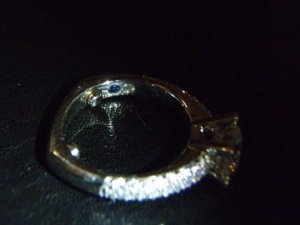PC054115.jpg