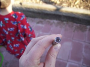 100_1558.jpg