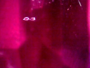 Image47.jpg
