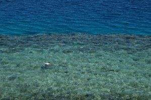 snorkling Royal Davui.jpg