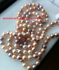 beanexotics.jpg