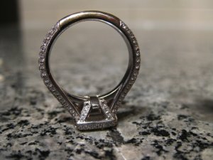 glisten1.JPG