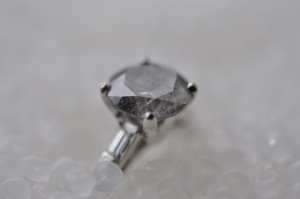 DSC_0508.JPG