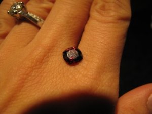 IMG_2791.JPG
