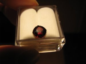 IMG_2792.JPG