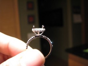 IMG_2794.JPG