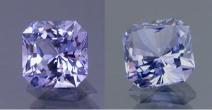 Periwinkle comparison DS adjusted.jpg Periwinkle comparison DS adjusted.jpg