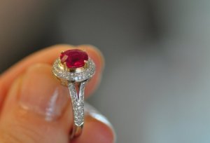 IMG 756a.jpg