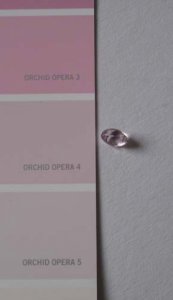kunzite chicken 3 008.JPG