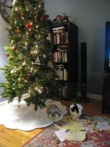otto hannah christmas.jpg