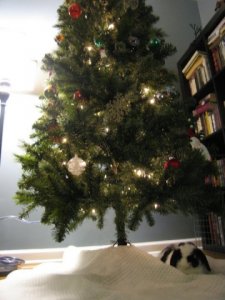 otto christmas.jpg
