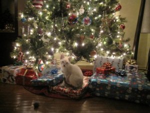 Buddy Xmas.jpg