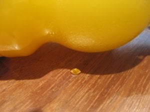 Diamond Orange 6.JPG