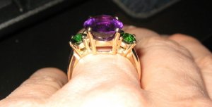 AmmyRingSideView_8376.jpg