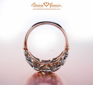 BrianGavin_RoseGold5_072610.jpg